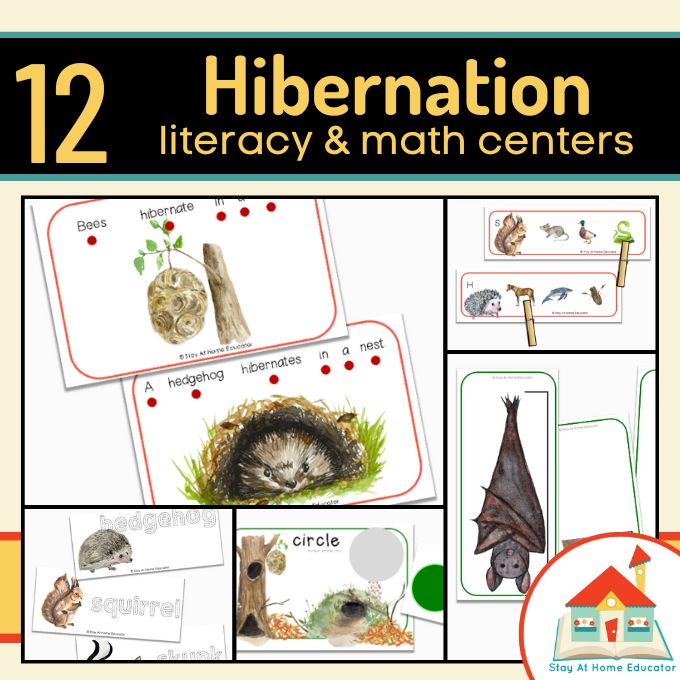 Hibernation Preschool Centers - Stay At Home Educator