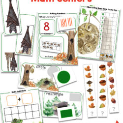 hibernation activities for preschoolers, math activities for hibernation preschool theme