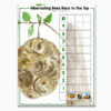hibernation math activities for preschool| hibernation preschool theme| Hibernating Bees Race to the Top preschool math activity| bees and a vertical counting grid, labeled from 1-10|