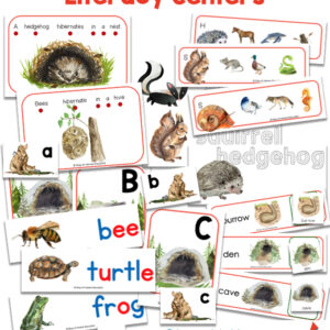 preschool hibernation theme with literacy activities and printables