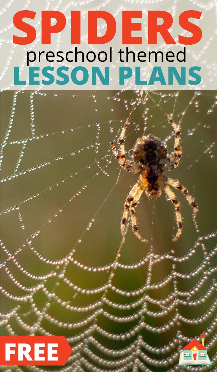 free spider preschool lesson plans and activities 