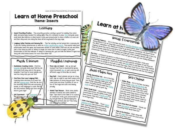 Enjoy these done for you and free insect preschool lesson plans full of fun ideas and activities for your insect theme!