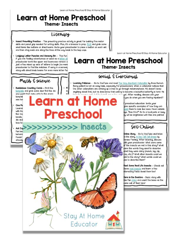 Learning about insects is always full of buggy fun. With over 15 different insect activities, these free insect lesson plans for preschool are sure to be a hit.
