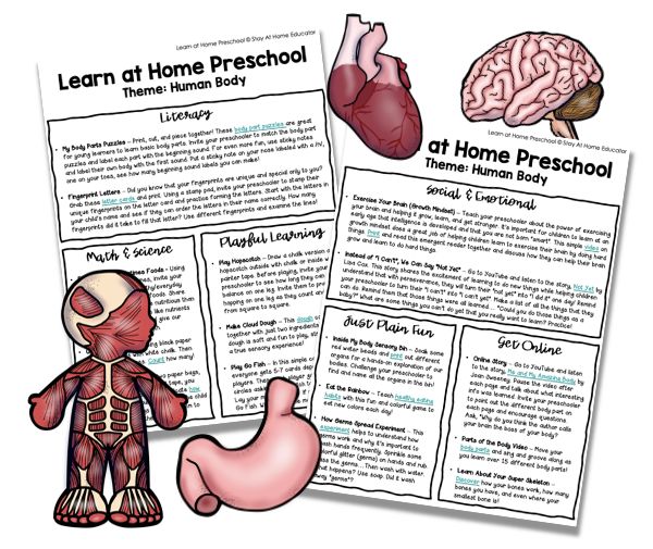 This set of human body preschool lesson plans is the perfect way to introduce body parts and healthy living to preschoolers.