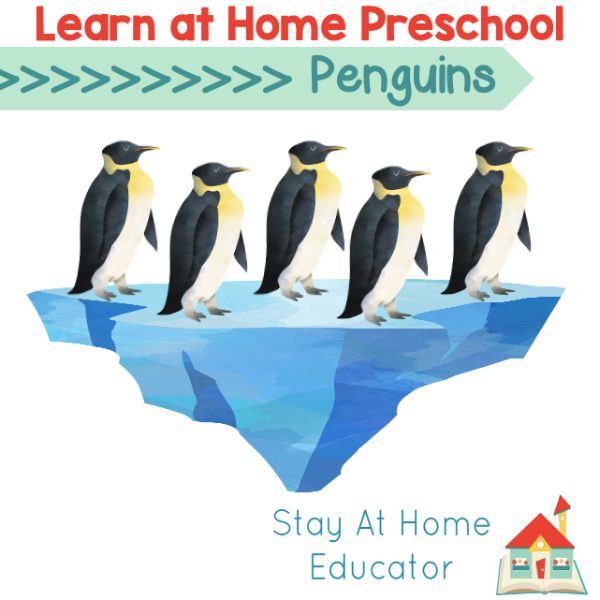 These learn at home preschool penguin lesson plans are full of academic games and activities! 