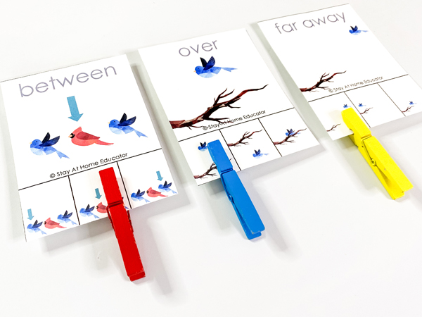 This position math center is designed for preschoolers to verbally match up the position of the bird to the bottom image using clothespins. This math center is included in our preschool patterning lesson plans in our math daily lessons.