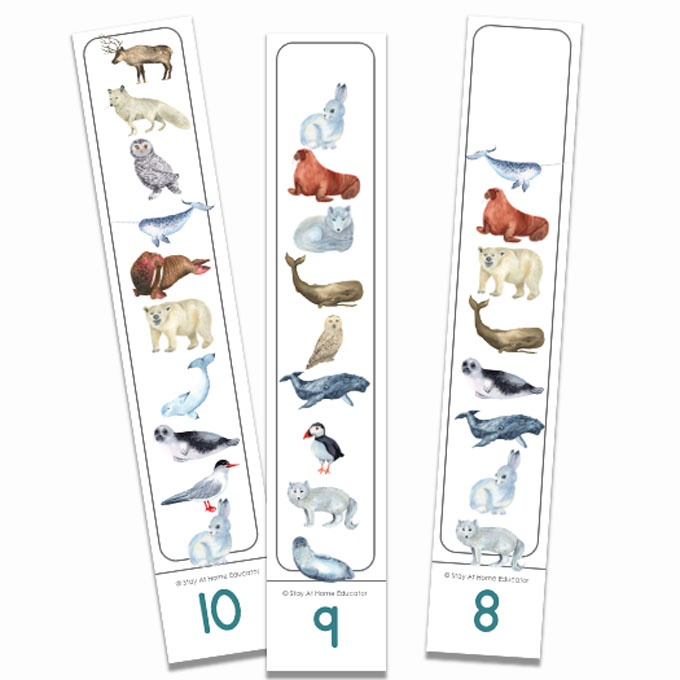 arctic animals for preschool, arctic animal math activities, number sense and counting activities
