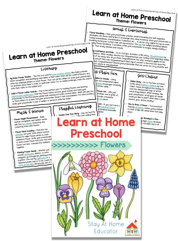screenshot samples of flowers preschool lesson plans | flower and garden theme for preschool | plant activities in preschool |