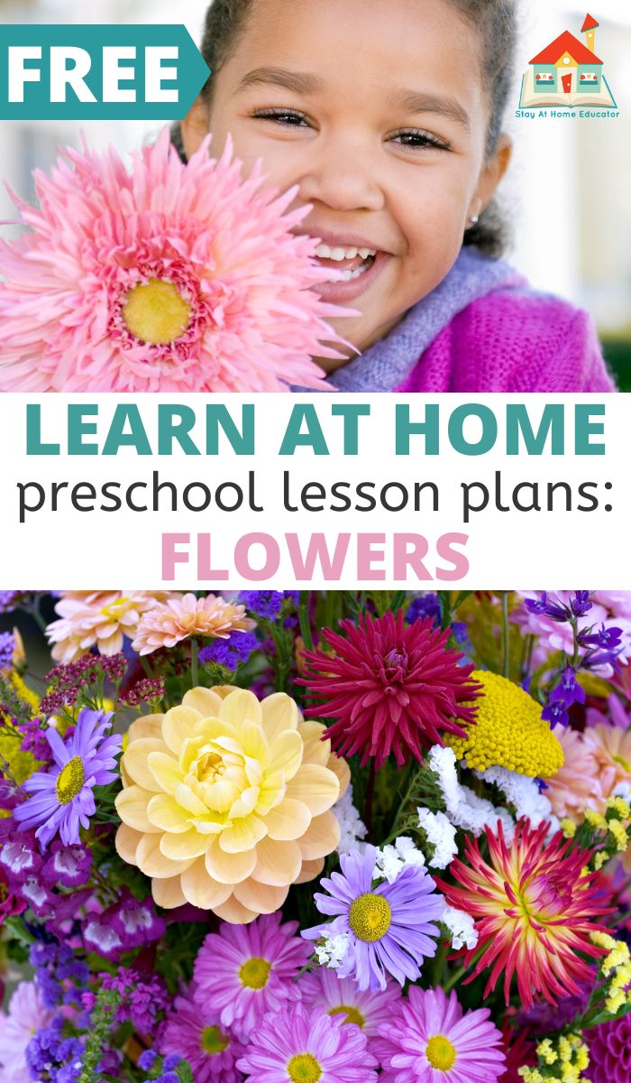 child smiling with flowers text says free learn at home preschool lesson plans flowers | flower activities for preschoolers | preschool spring theme |