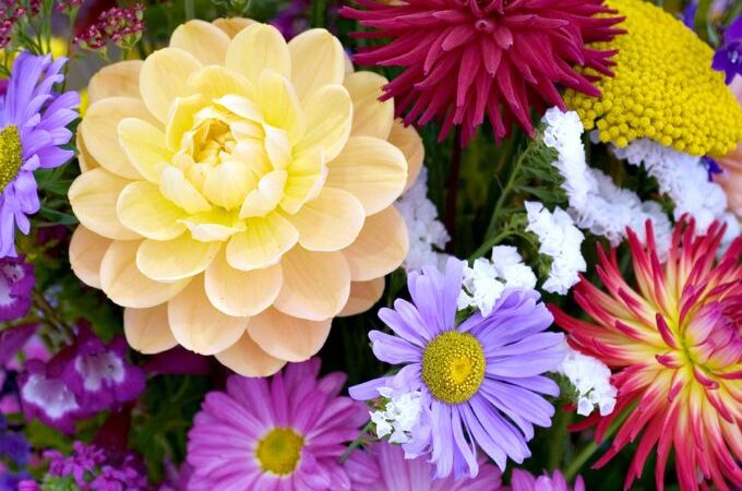 Learn all about nature and the growing process with these free preschool flower lesson plans.