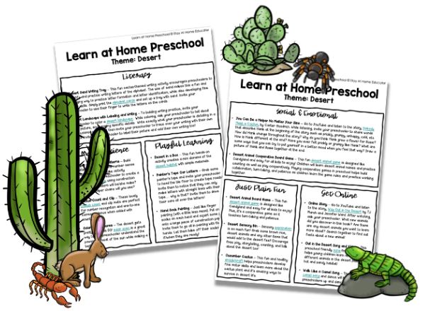 Up close images of desert themed preschool lesson plans