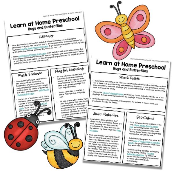 Free bugs and butterfly themed activities including free learn at home preschool lesson plans
