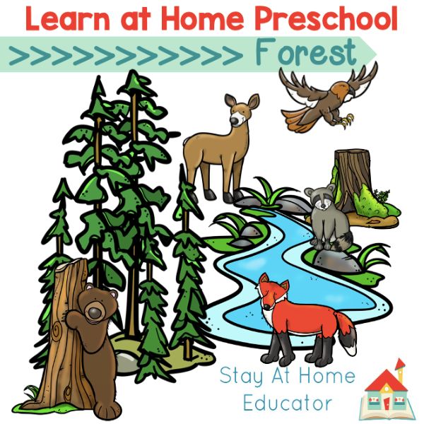 Free forest preschool lesson plans for home or classroom