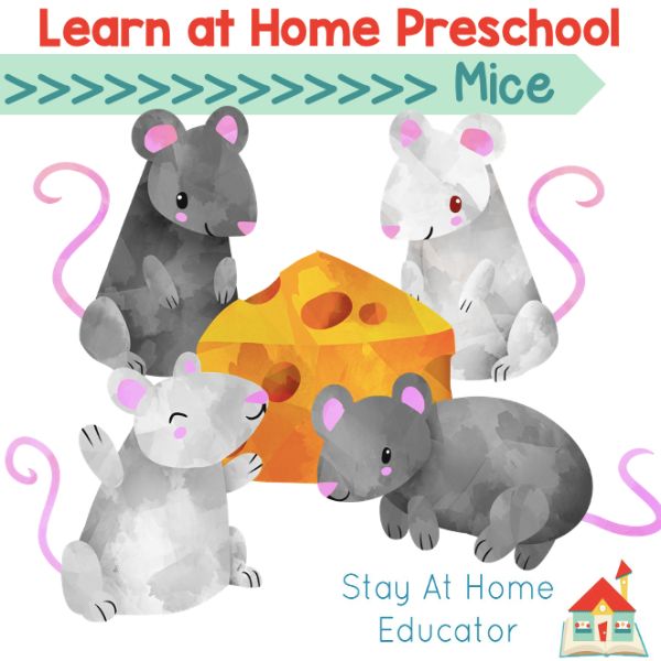 Learn at home preschool mice lesson plans
