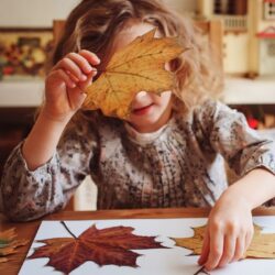 Fall learn at home preschool lesson plans with over 15 activities