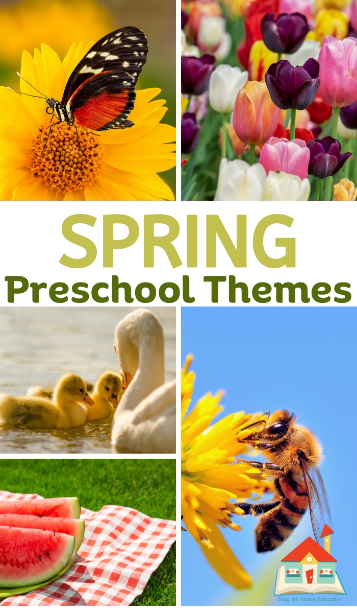 spring themes for preschool | collage of five spring theme ideas: butterflies, flowers, bees, baby animals, and picnic themes