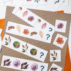 fall patterns preschool | fall patterning cards free | how to teach patterns to preschoolers | pattern games for preschool | patterning activities and printables