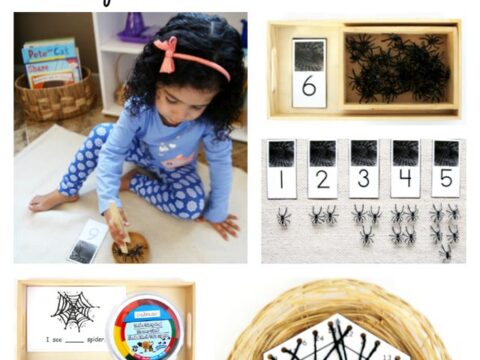 Image for Free Spider Printables and Montessori-Inspired Spider Math Activities