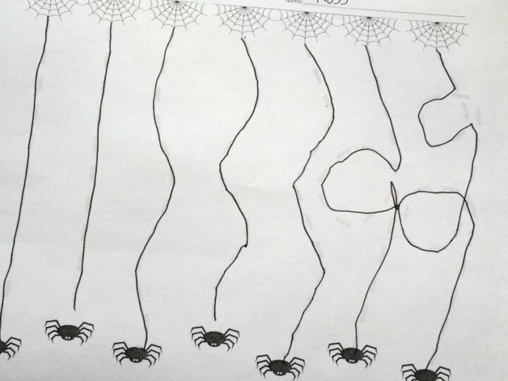 Image for Silly Spiderwebs Writing Practice Activities