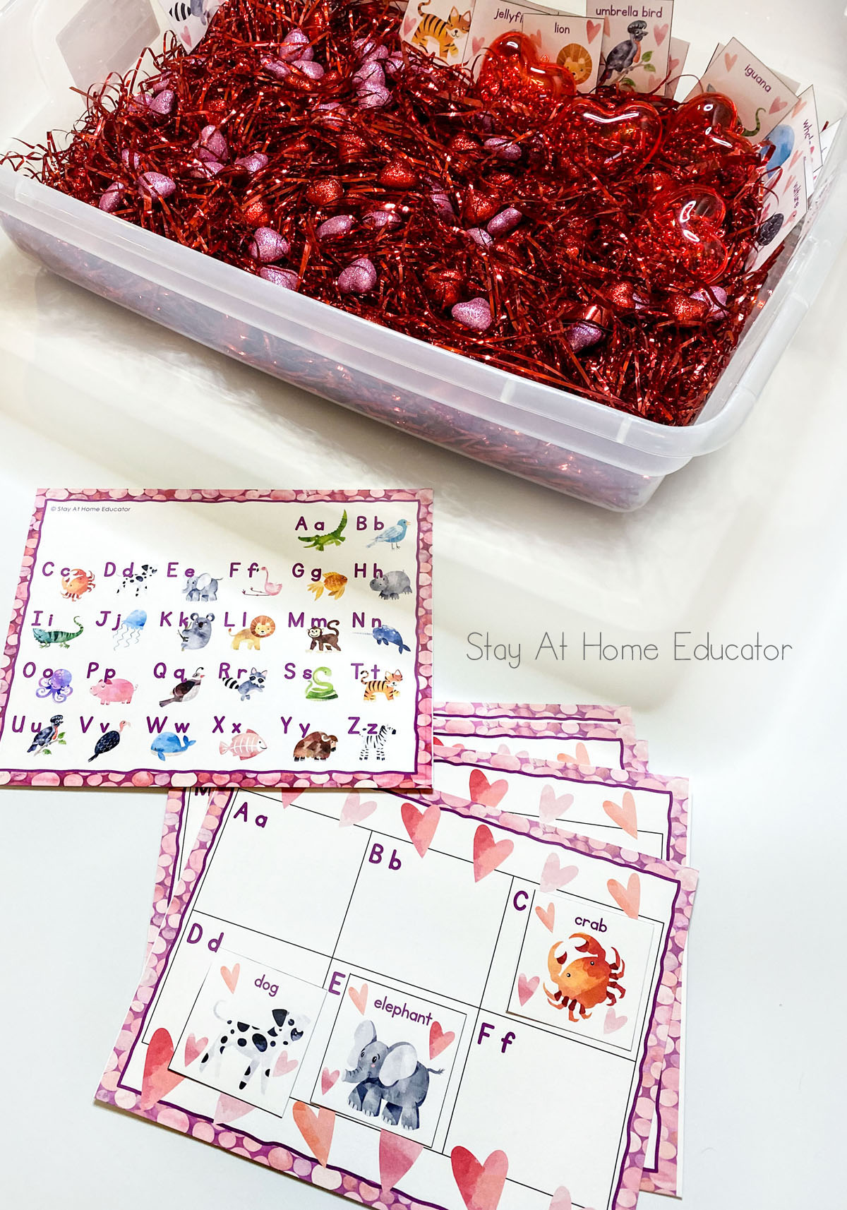Valentine's Day sensory bin with letter recognition printable | friendship sensory bin | how to teach preschoolers kindness | letter matching activities including animal alphabet letter matching activity shown with sensory bin