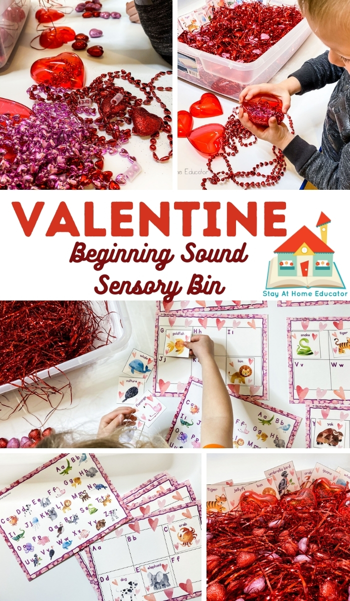 Valentine sensory bing cards that teach beginning sounds and letter recognition | Valentine's Day sensory bin for preschool
