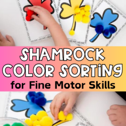 This toddler uses only his hands to place the colorful pom poms onto the corresponding mats. | rainbow shamrock color sorting cards in red, yellow, and blue to use in St. Patricks Day preschool lesson plans | rainbow theme preschool lesson plans | color sorting activities for preschoolers and toddlers