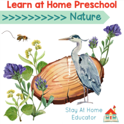 Learn at Home Nature Preschool Lesson Plans | free nature preschool lesson plansl Free nature lesson plans for preschool and kindergarten | nature lesson ideas and activities for teaching nature to kids |