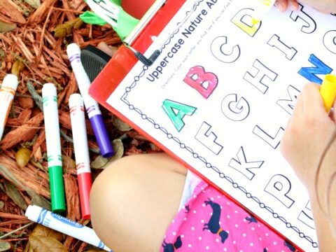 Image for Garden ABC Letter Hunt