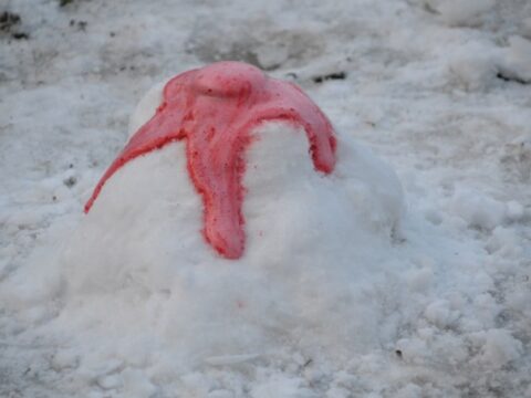 Image for Snow Volcano - Baking Soda Volcano
