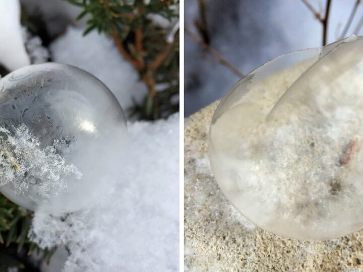 Image for How to Make Frozen Bubbles