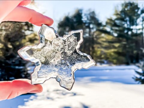 Image for Frozen Ice Bubble Snowflakes – Winter Science Activities