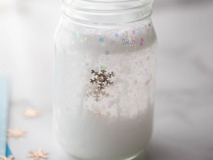 Image for Snowstorm in a Jar