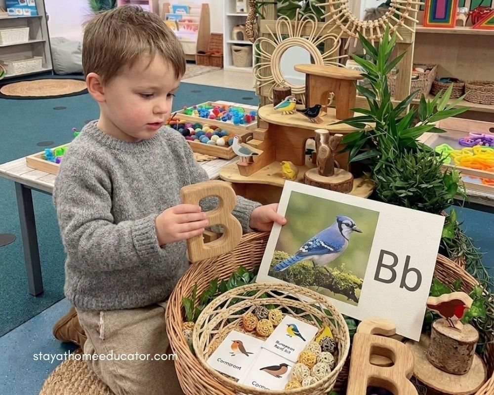 Preschool child explores a wooden letter B while matching it to a picture card, building letter recognition and phonics skills through hands on play with natural materials in a classroom setting.