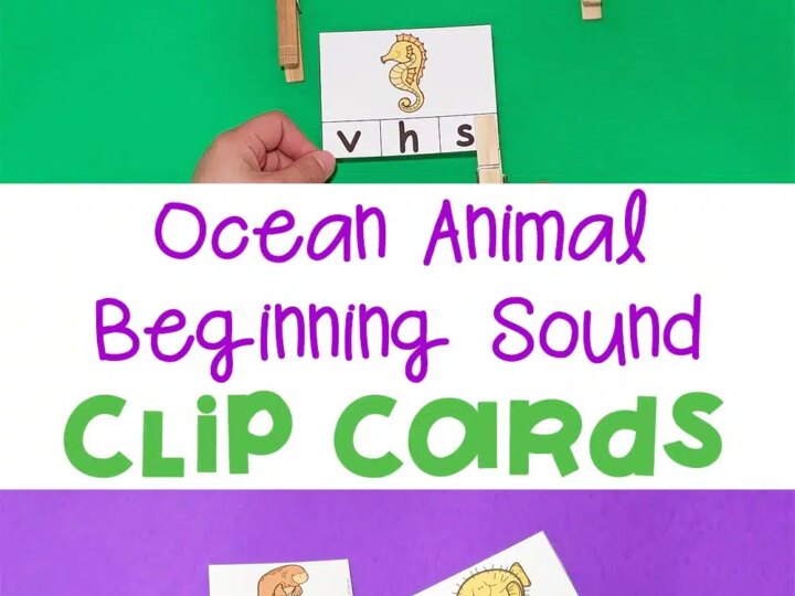 Image for Ocean Animal Beginning Sound Clip Cards