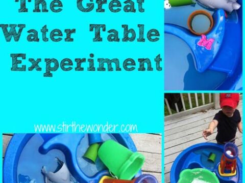 Image for The Great Water Table Experiment