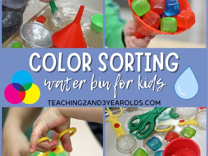 Image for Color Sorting Water Table Activity
